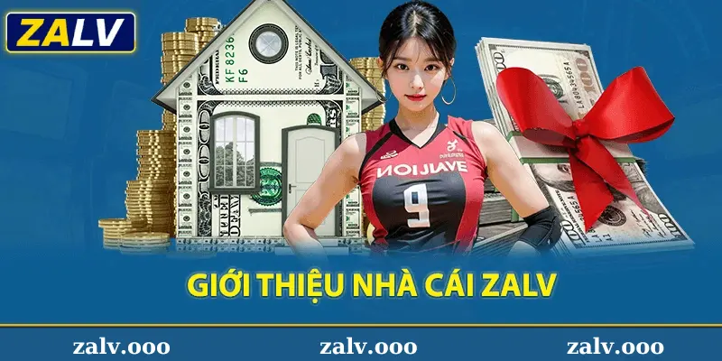 Đăng Ký Zalv Là Gì?