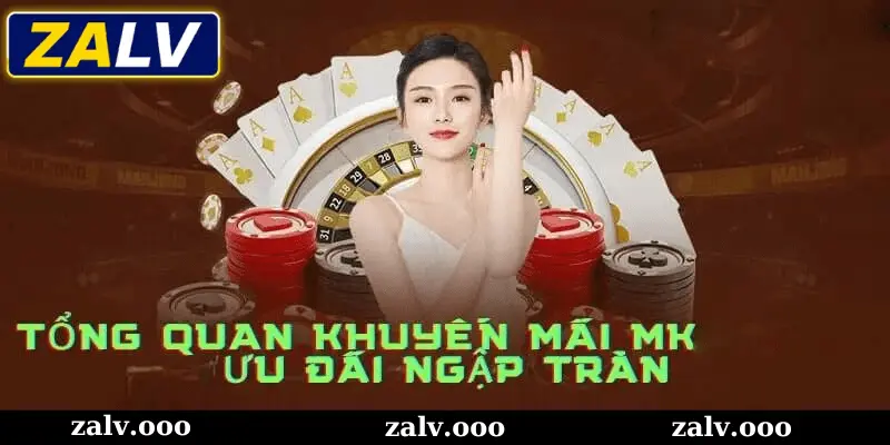 Tổng quan về khuyến mãi Zalv