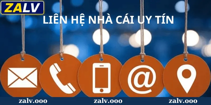 FAQ – Các Câu Hỏi Thường Gặp Về Dịch Vụ Hỗ Trợ Tại Zalv