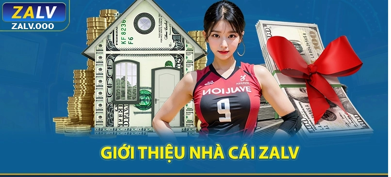 Giới thiệu về nhà cái Casino Zalv